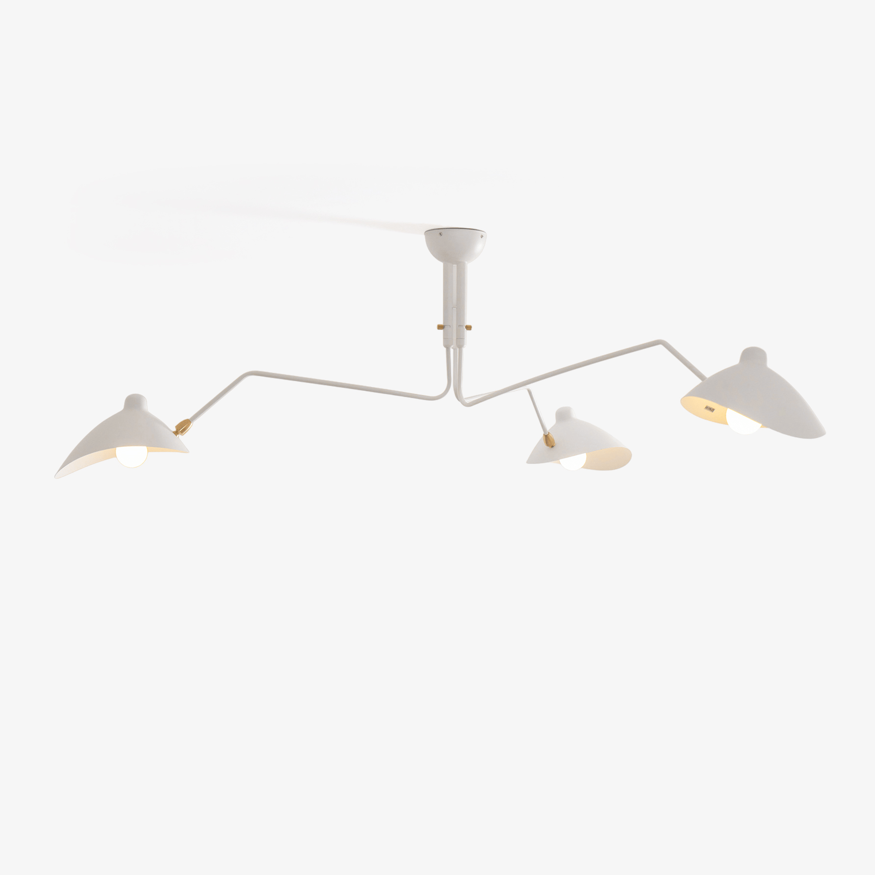 Lampadario a bracci Anlora