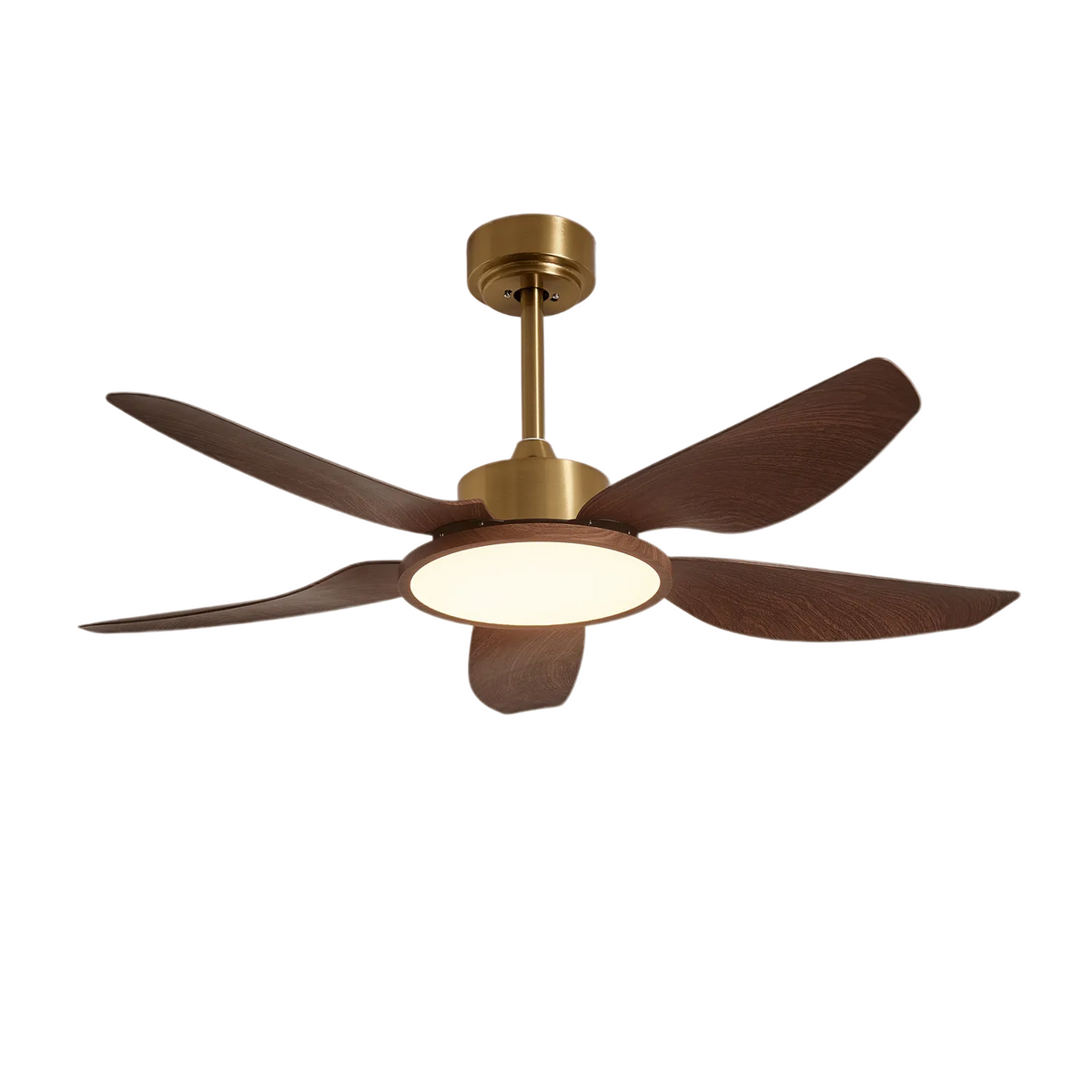 Ventilatore da soffitto Lucinano