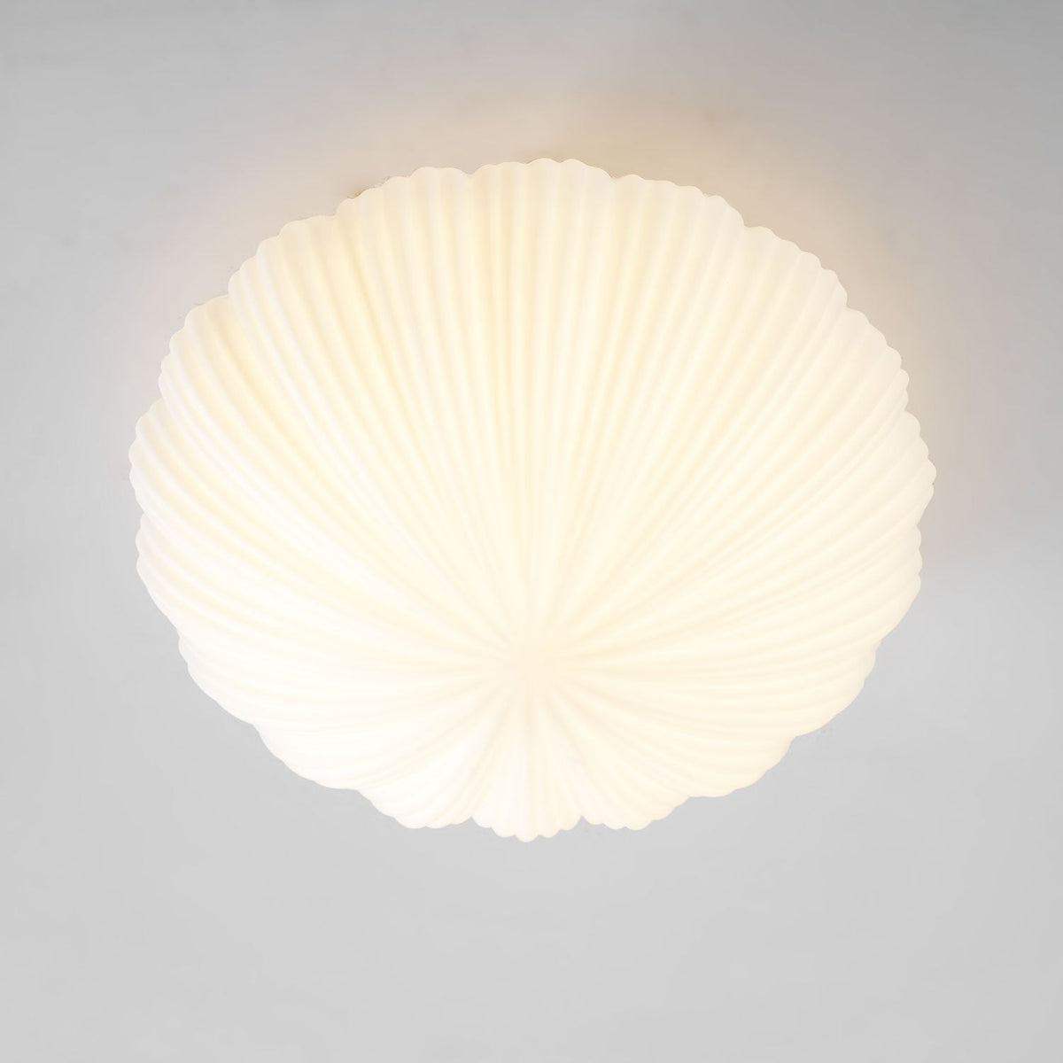 Devan Seashell Ceiling Lamp – detail 36