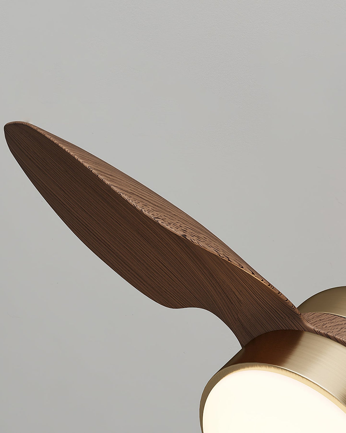 Haiku Ceiling Fan Light – detail 8