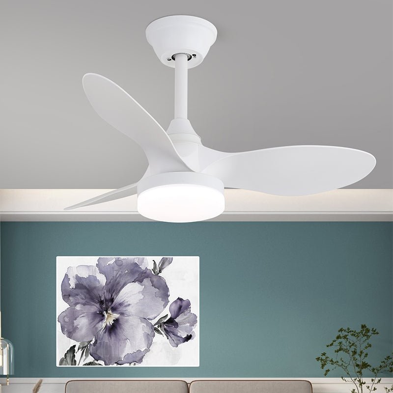 Ventilatore da soffitto Esonasole