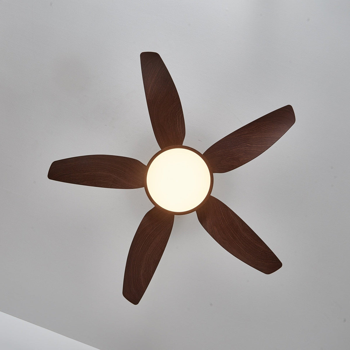 Ventilatore da soffitto Lucinano