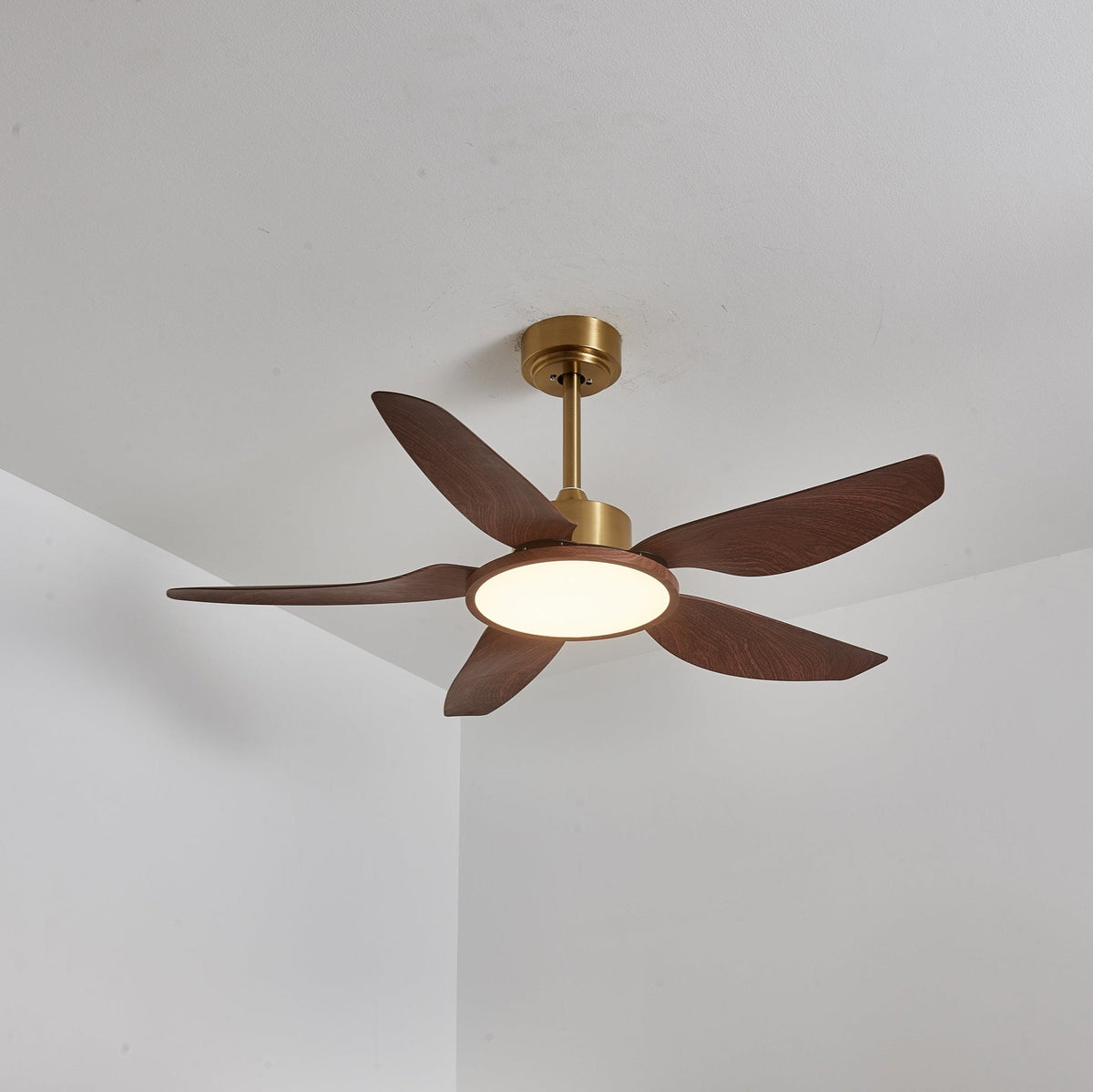 Ventilatore da soffitto Lucinano
