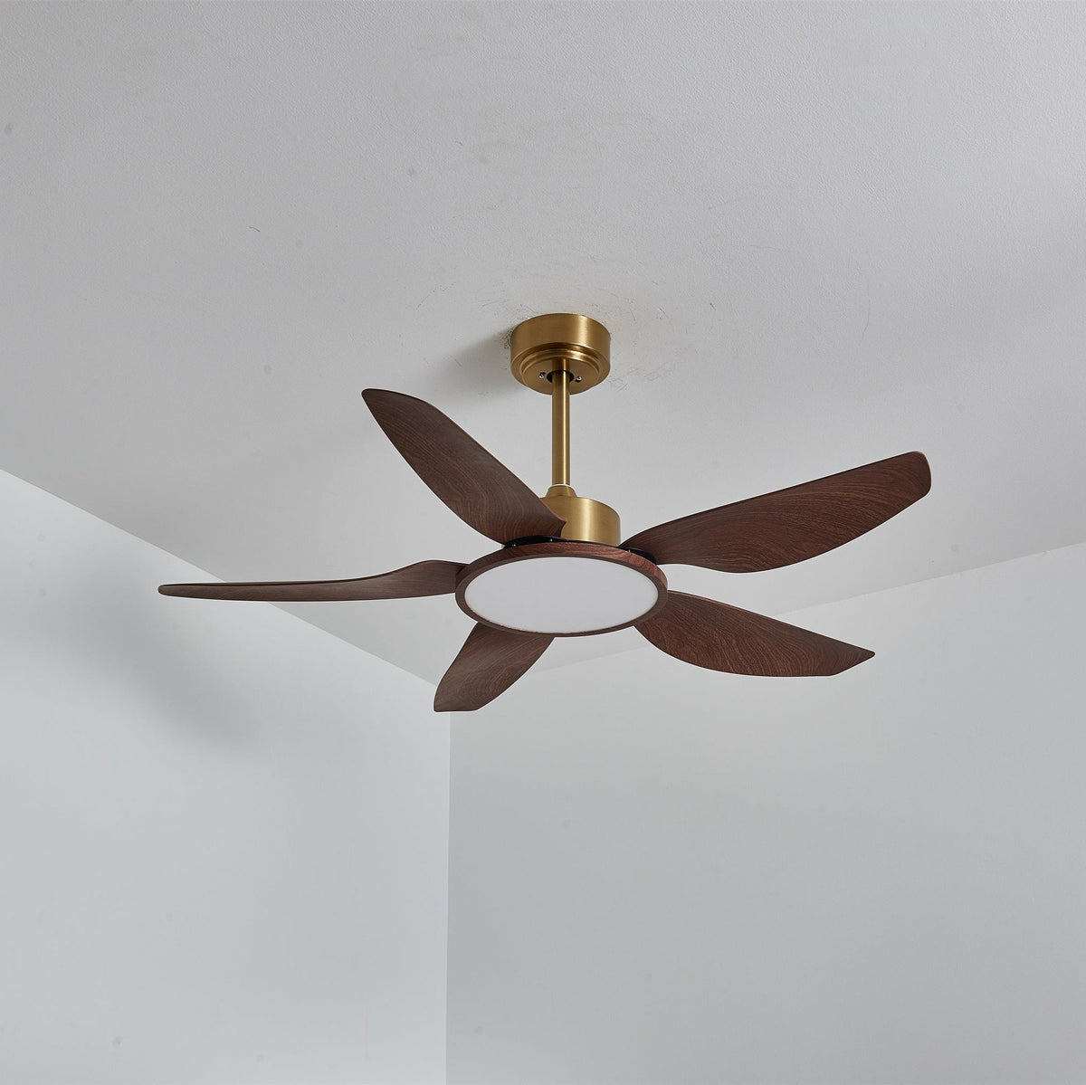 Ventilatore da soffitto Lucinano