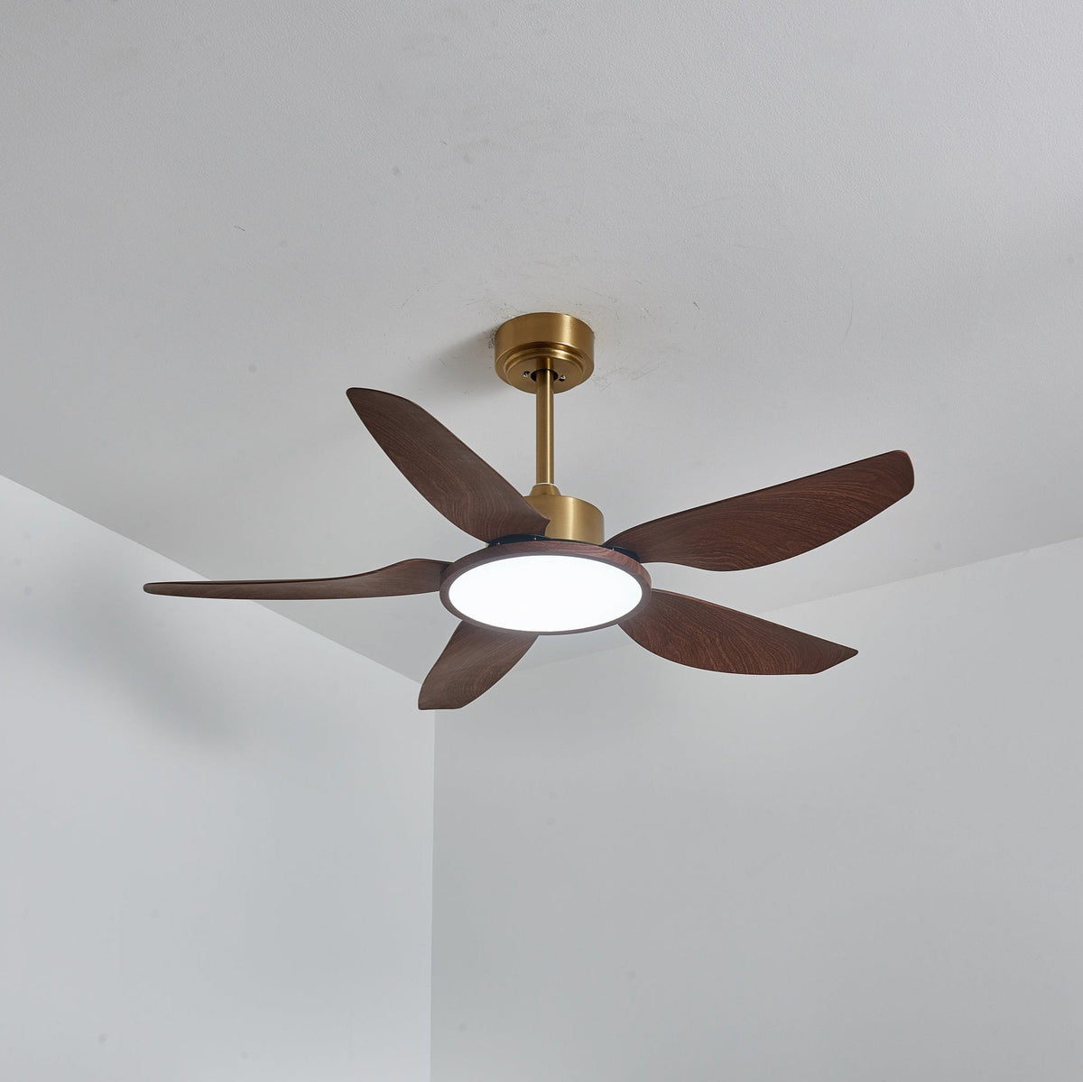 Ventilatore da soffitto Lucinano
