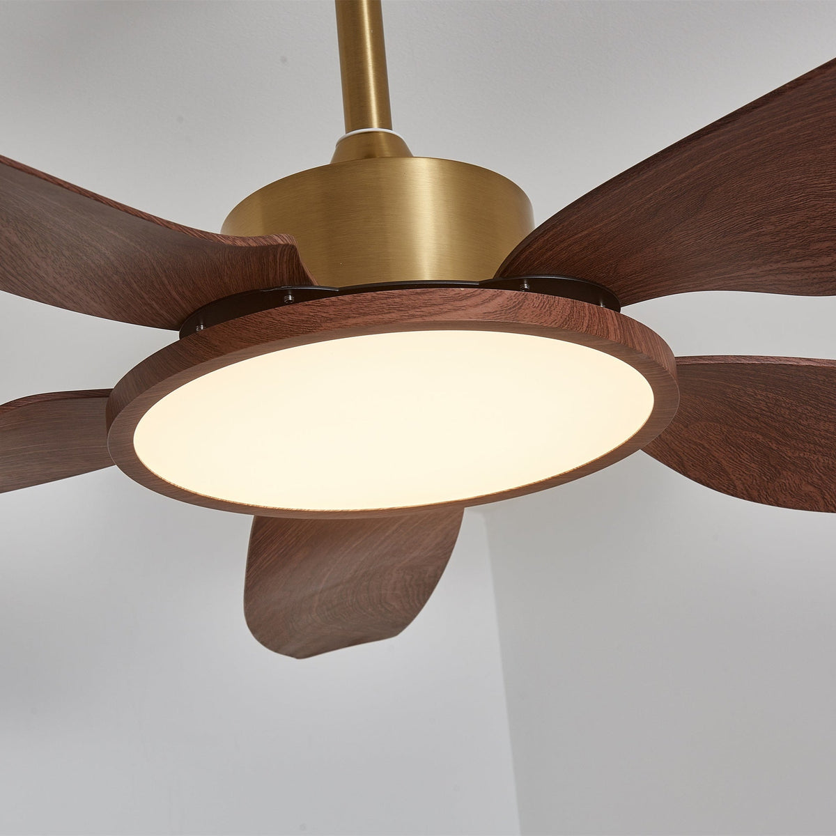 Ventilatore da soffitto Lucinano