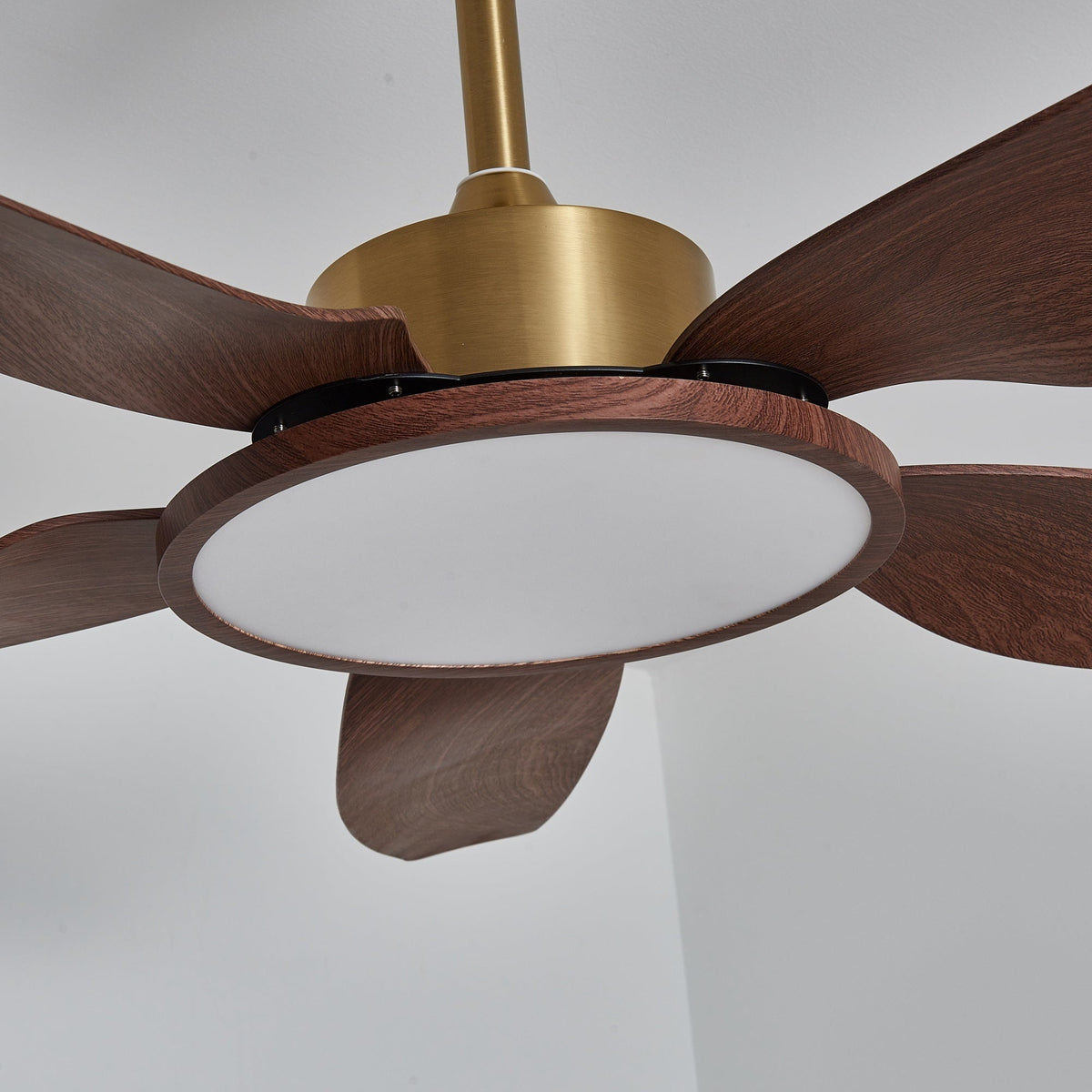 Ventilatore da soffitto Lucinano