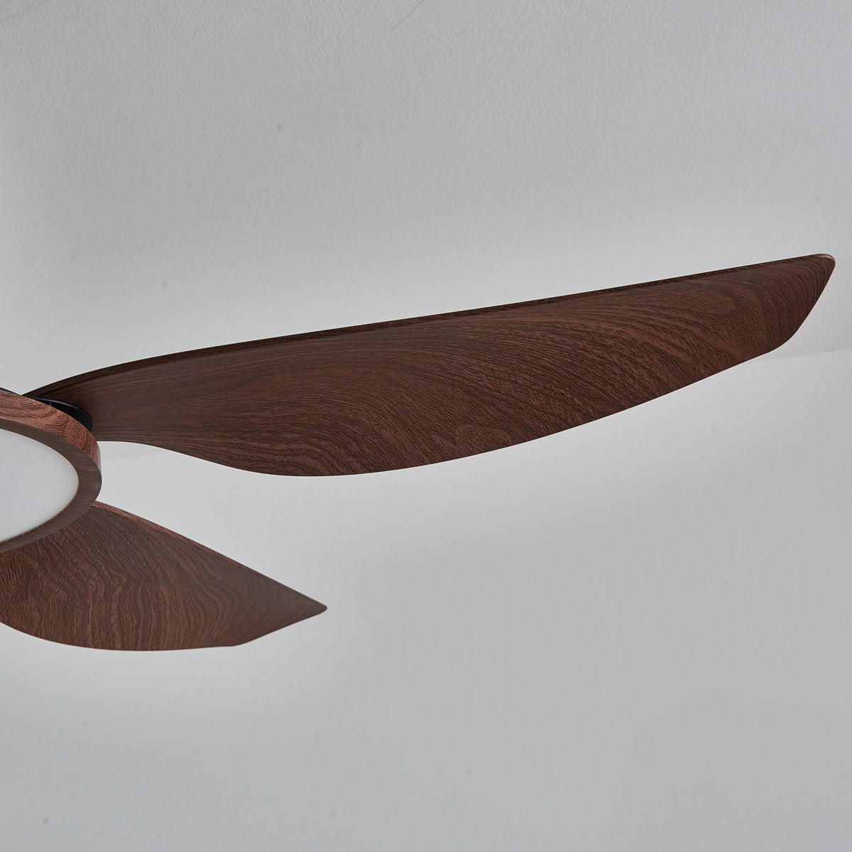 Ventilatore da soffitto Lucinano