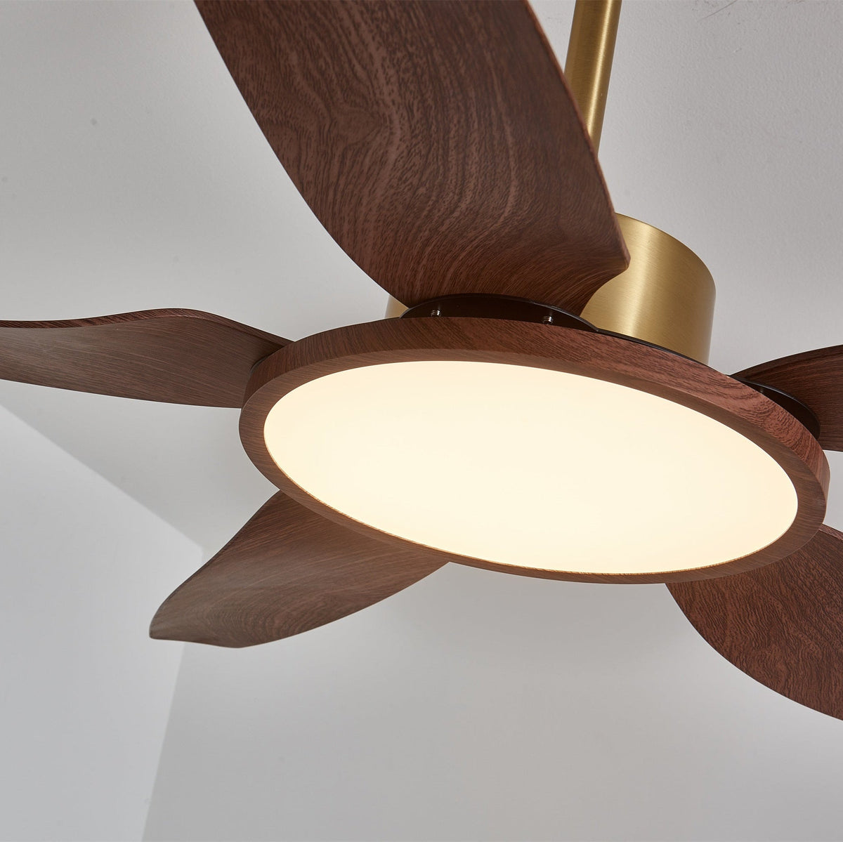 Ventilatore da soffitto Lucinano