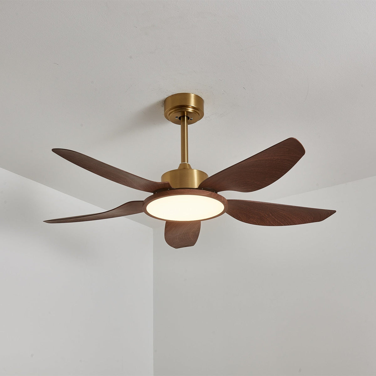Ventilatore da soffitto Lucinano