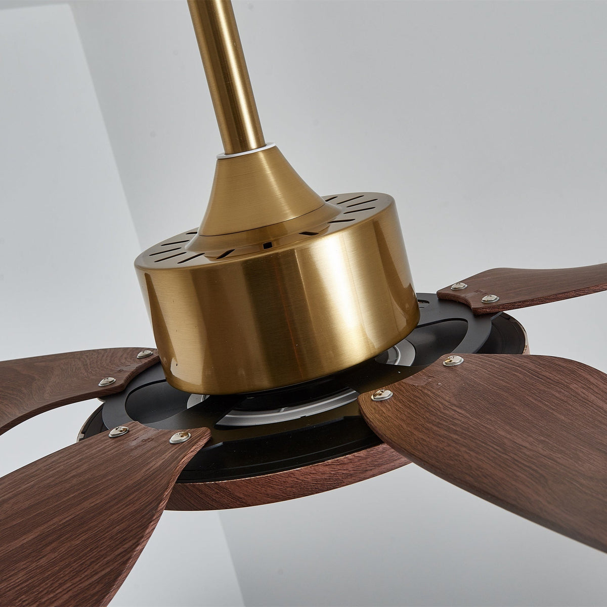 Ventilatore da soffitto Lucinano
