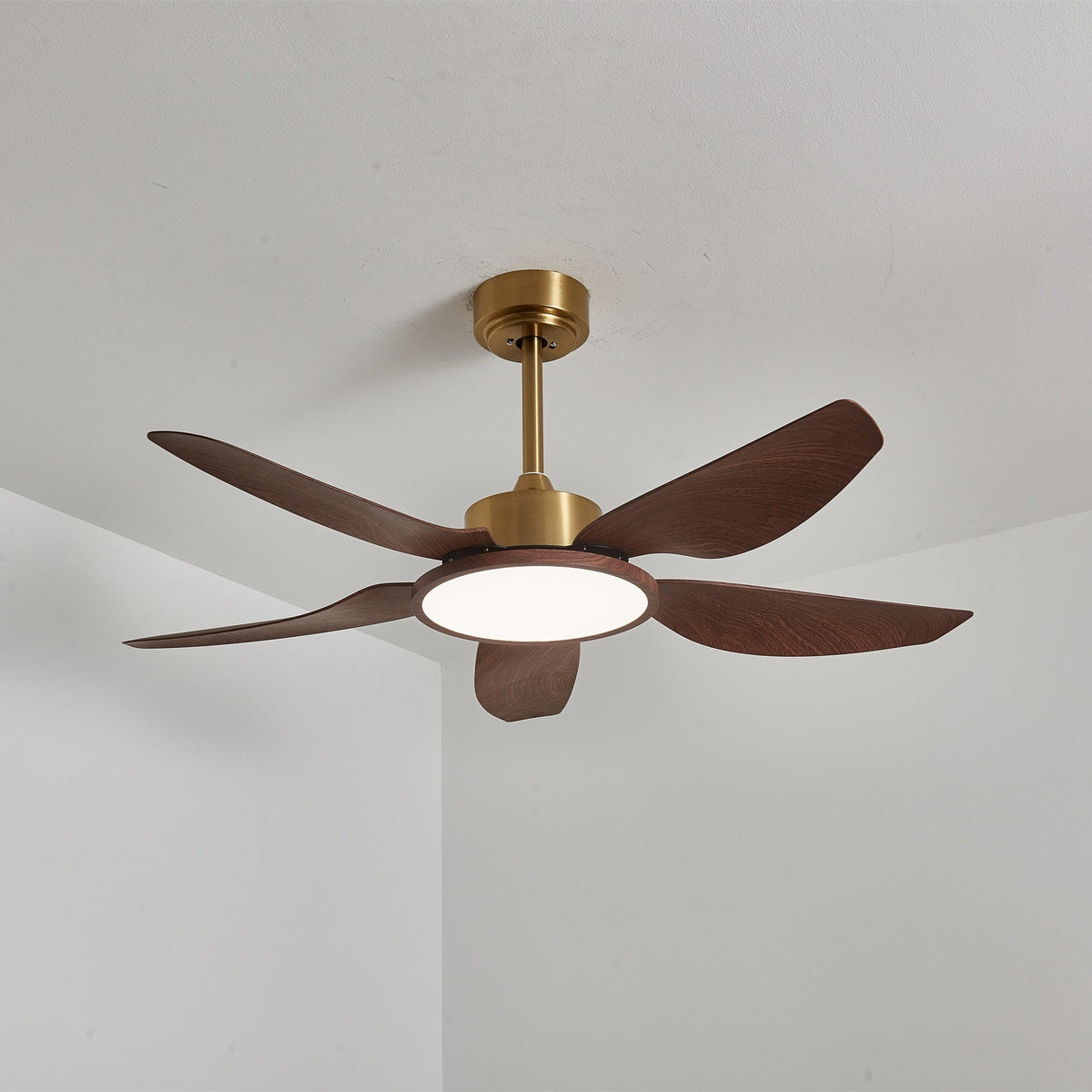 Ventilatore da soffitto Lucinano