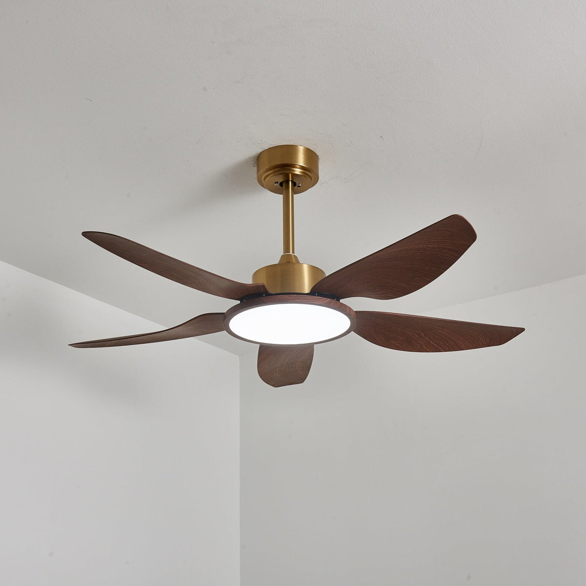 Ventilatore da soffitto Lucinano