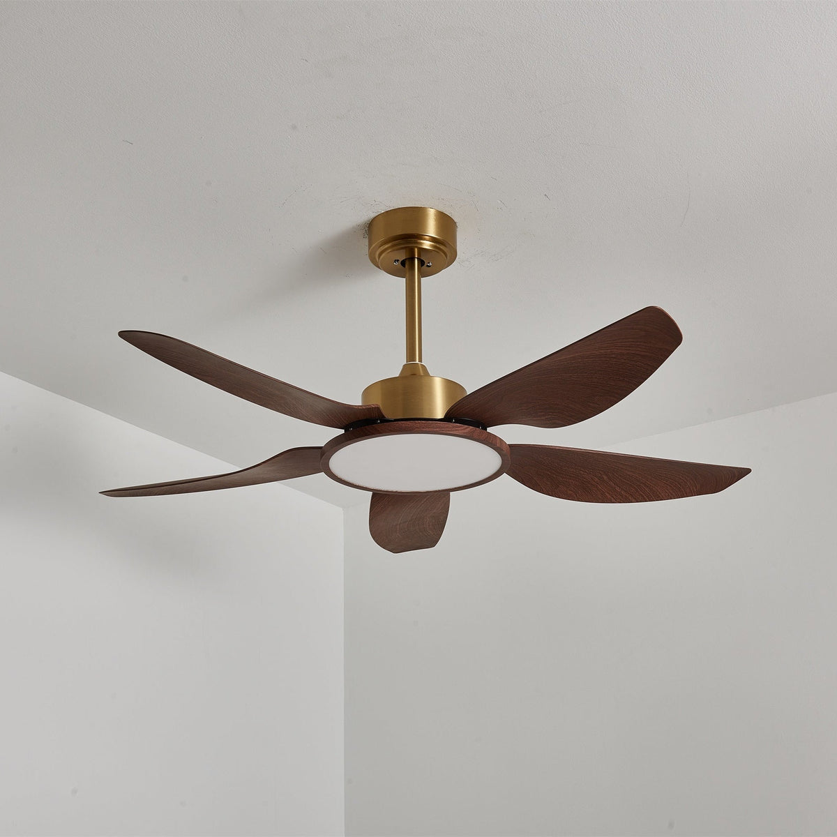 Ventilatore da soffitto Lucinano