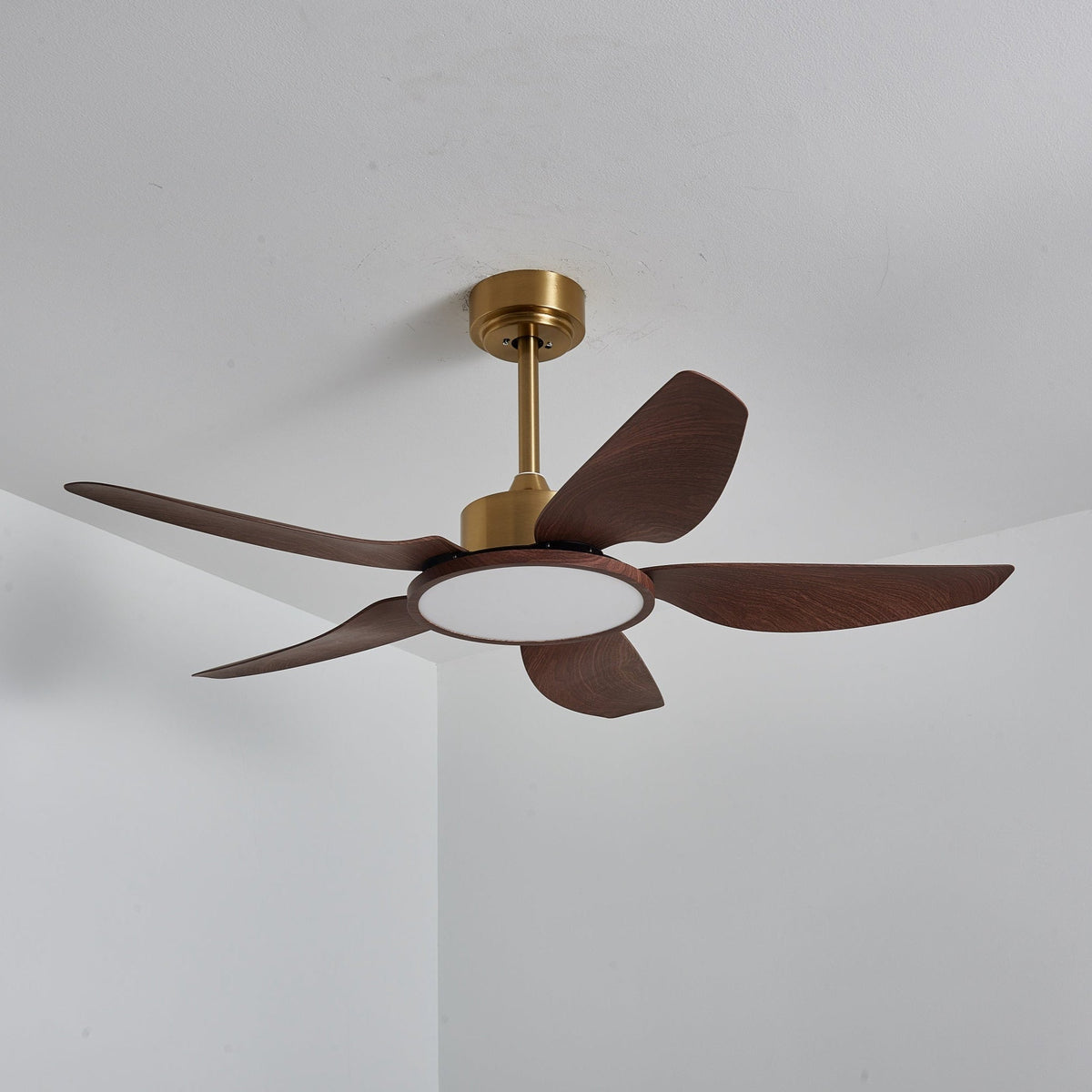 Ventilatore da soffitto Lucinano