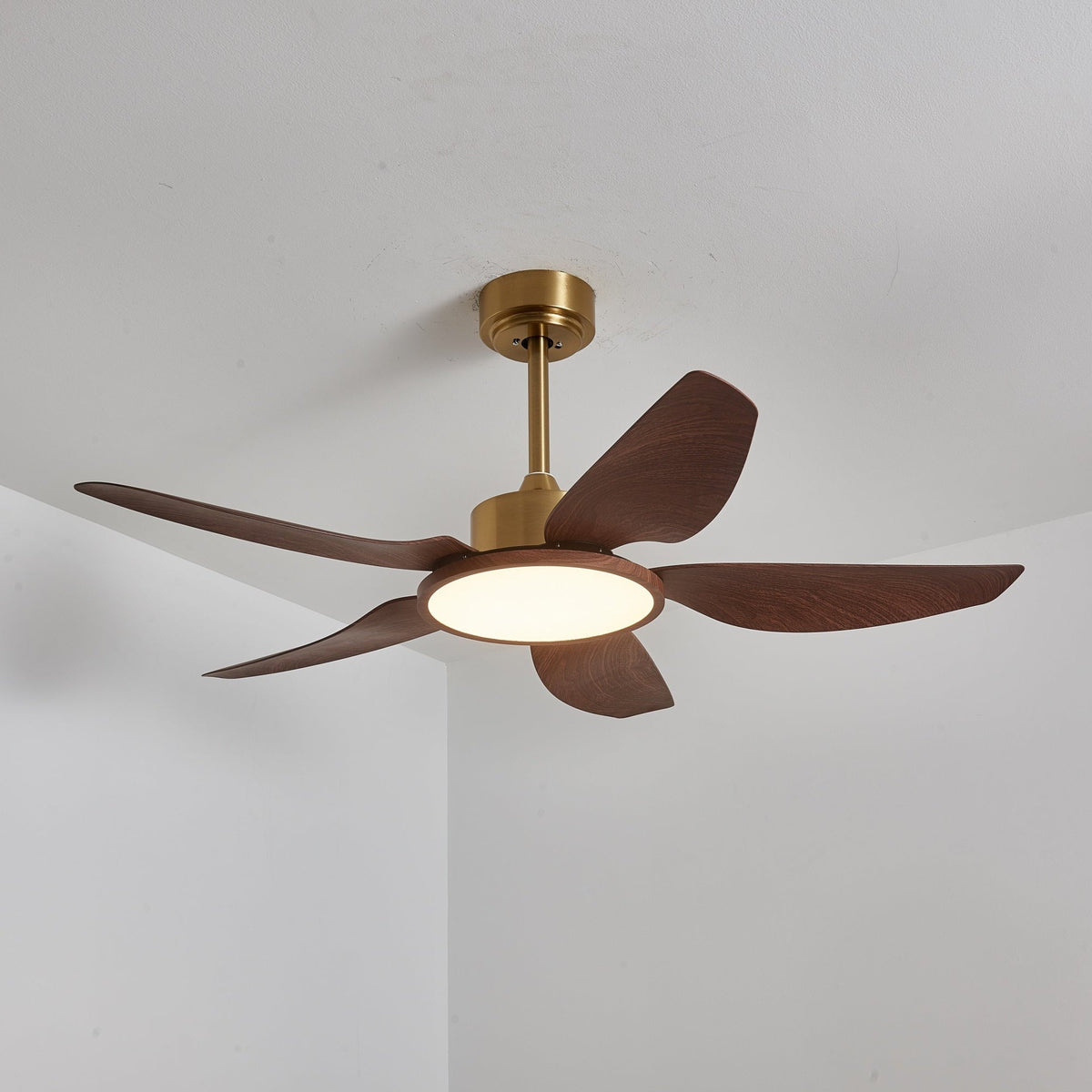 Ventilatore da soffitto Lucinano