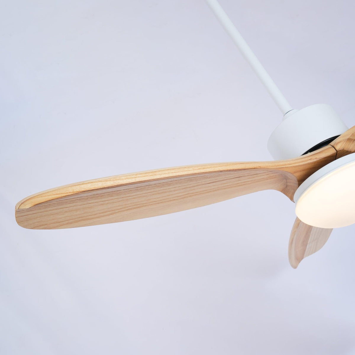 Ventilatore da soffitto Tanelea