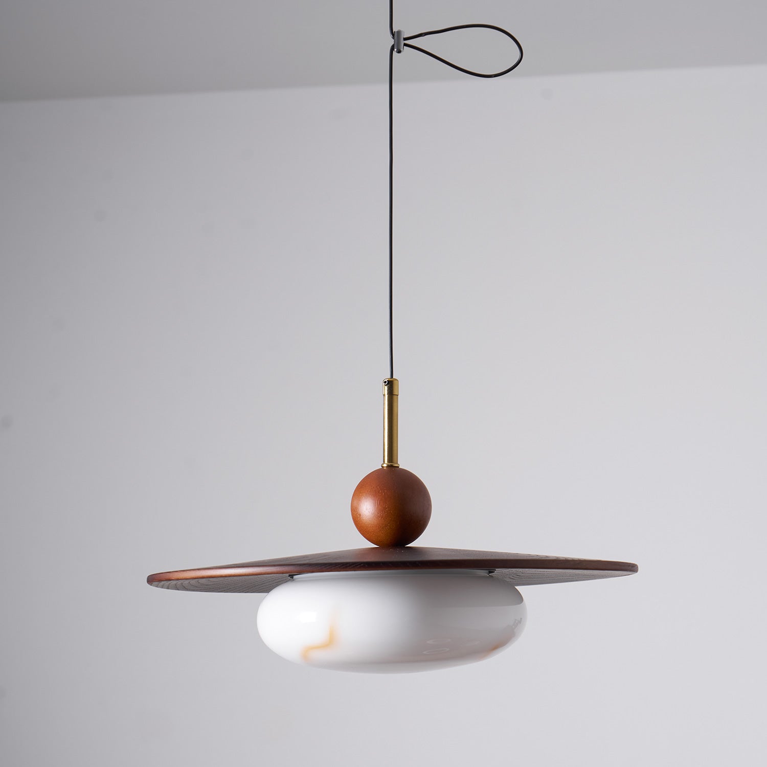 Lampada a sospensione orientabile Avinovi