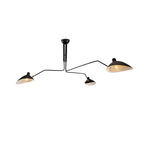 Lampadario a bracci Anlora