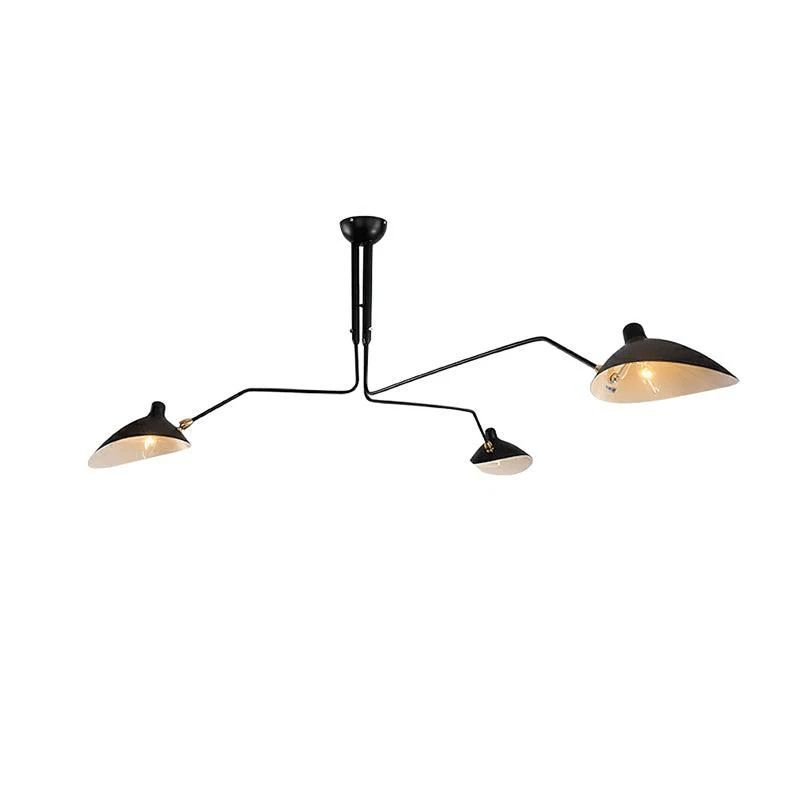 Lampadario a bracci Anlora