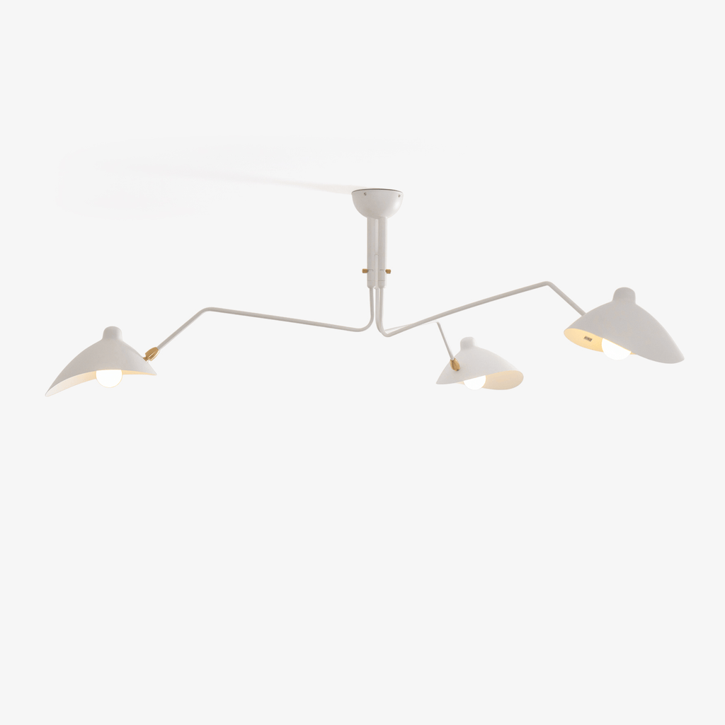 Lampadario a bracci Anlora