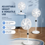 Ventilatore Belero