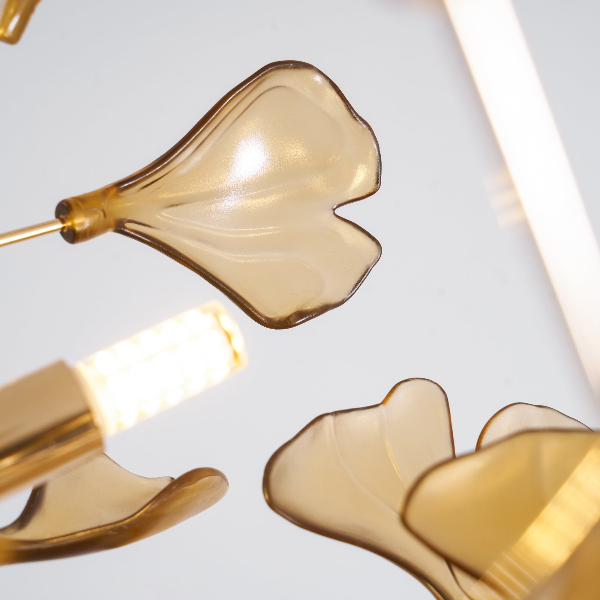 Lampadario Zalsole