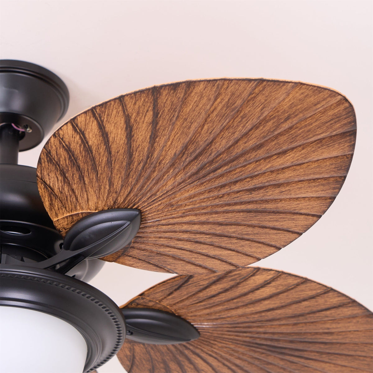 Ventilatore da soffitto Emariole