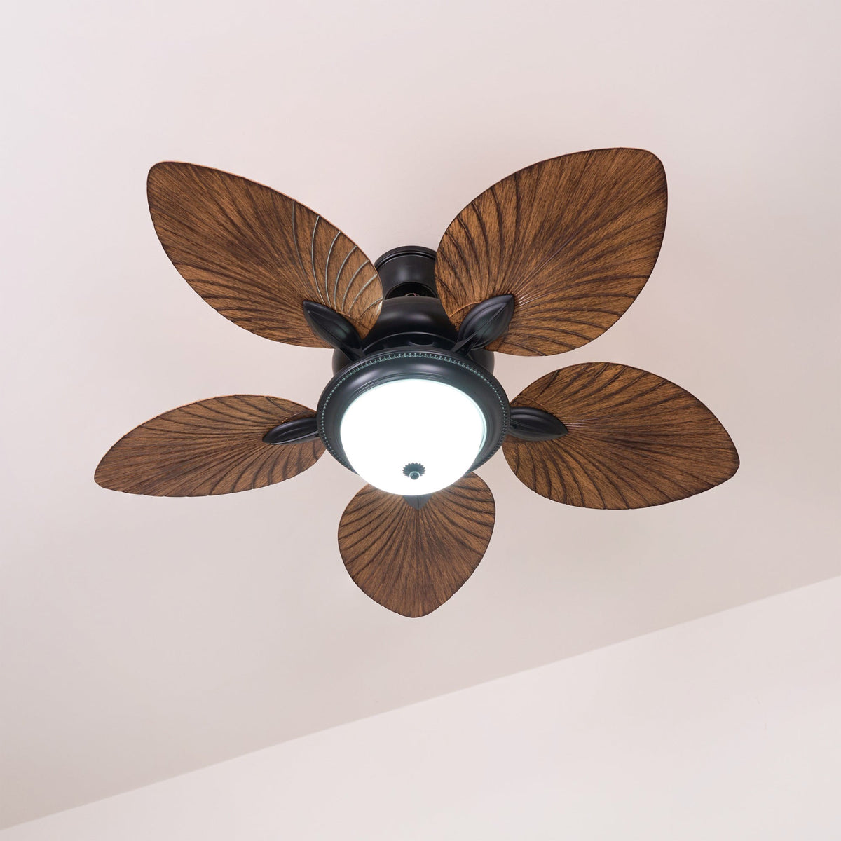 Ventilatore da soffitto Emariole