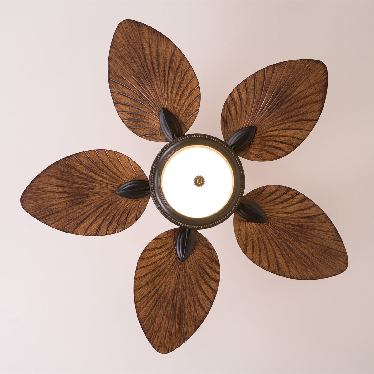 Ventilatore da soffitto Emariole
