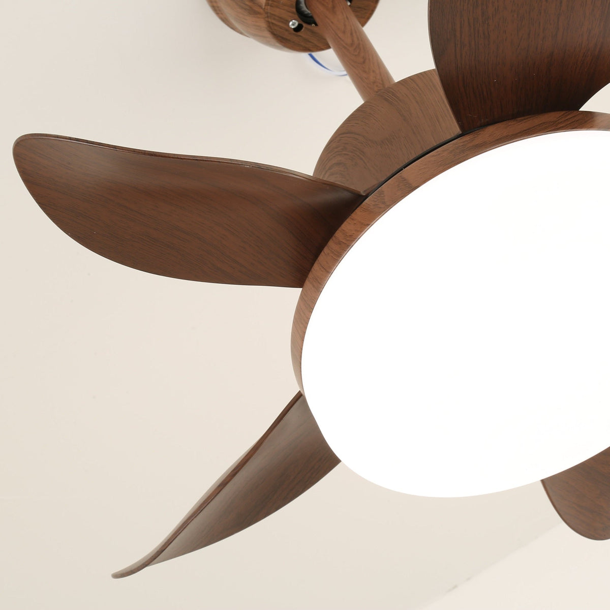 Ventilatore da soffitto Alecella