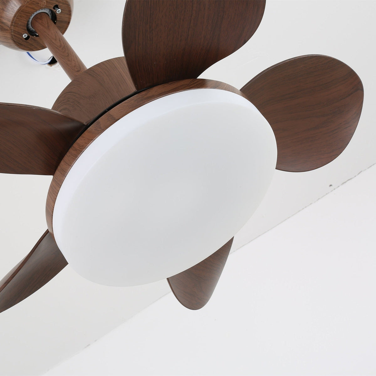 Ventilatore da soffitto Alecella