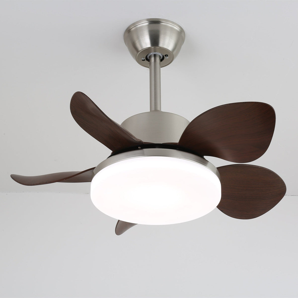 Ventilatore da soffitto Alecella
