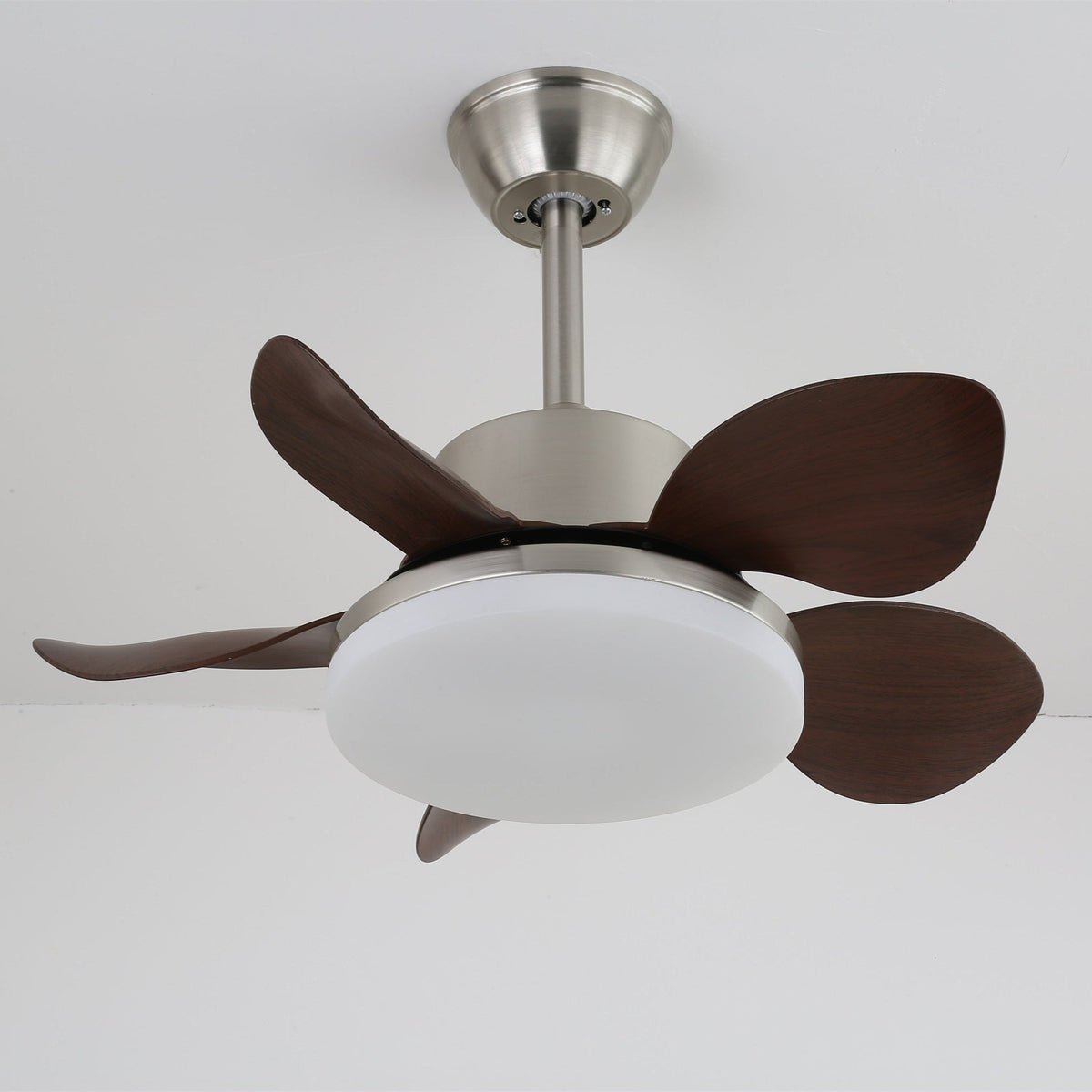 Ventilatore da soffitto Alecella