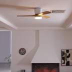 Plafoniera ventilatore Molisa