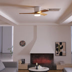 Plafoniera ventilatore Molisa