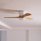 Plafoniera ventilatore Molisa