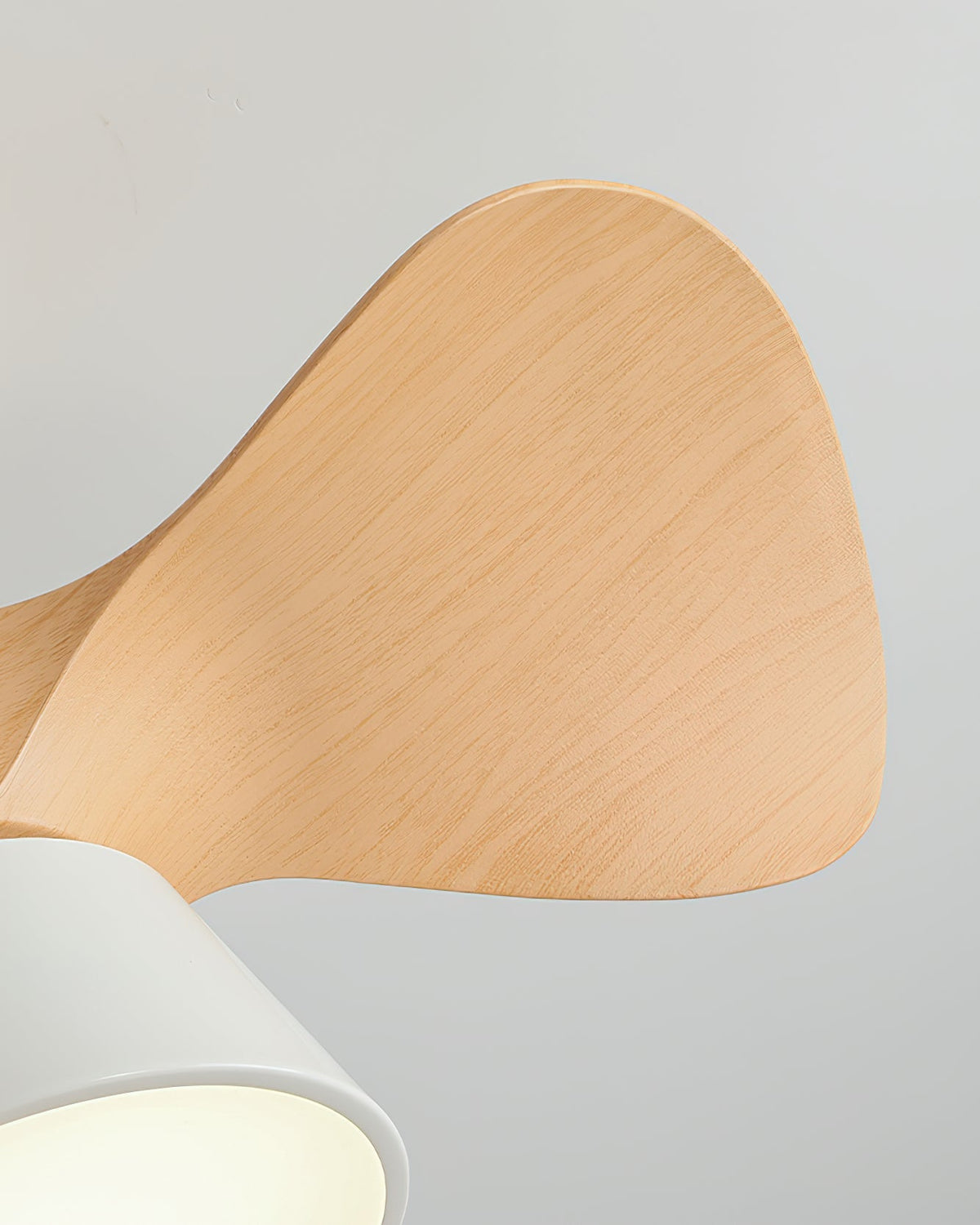 Fetcoi Ceiling Fan Light – detail 6