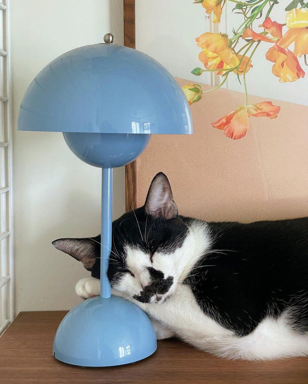 Lampada da tavolo da esterno Moliraivo
