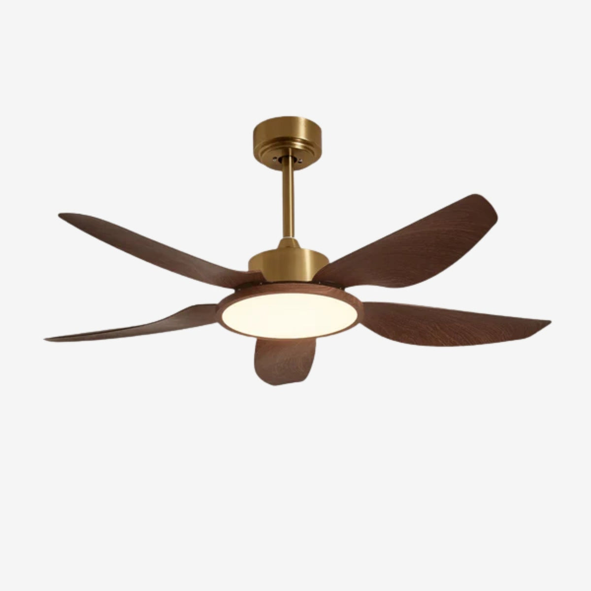 Ventilatore da soffitto Lucinano