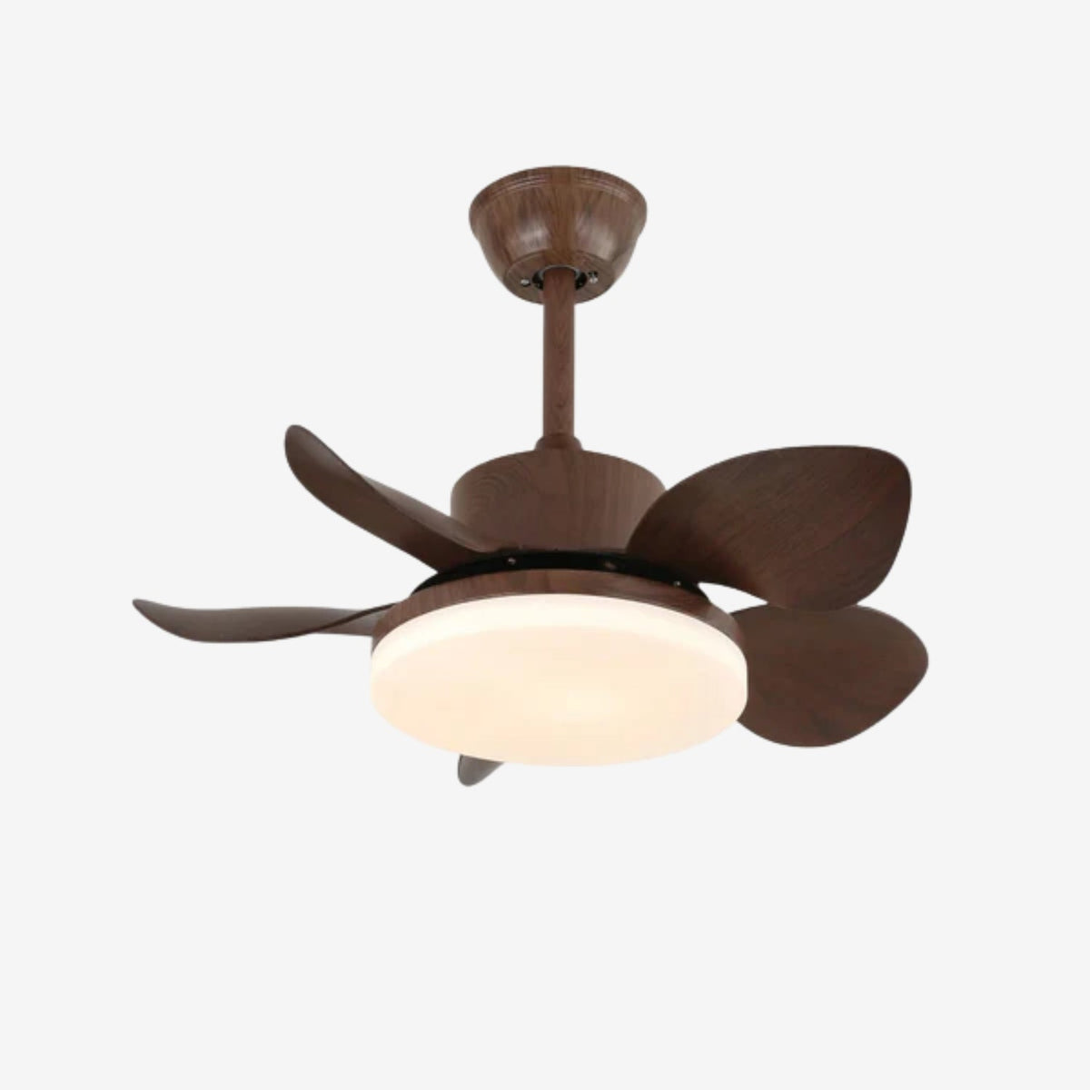 Ventilatore da soffitto Alecella