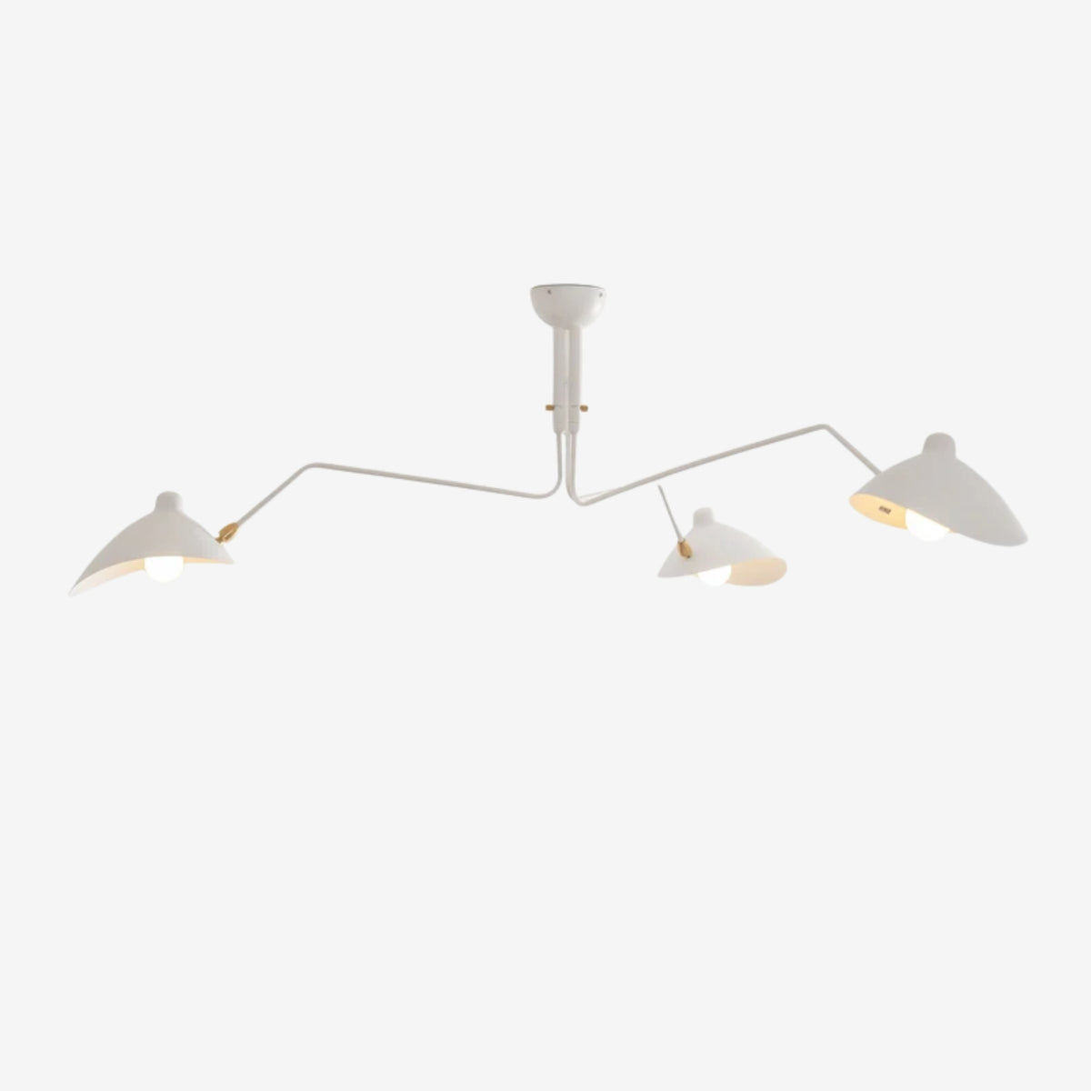Lampadario a bracci Anlora