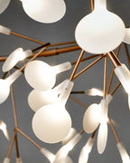 Lampadario scultoreo Teravera