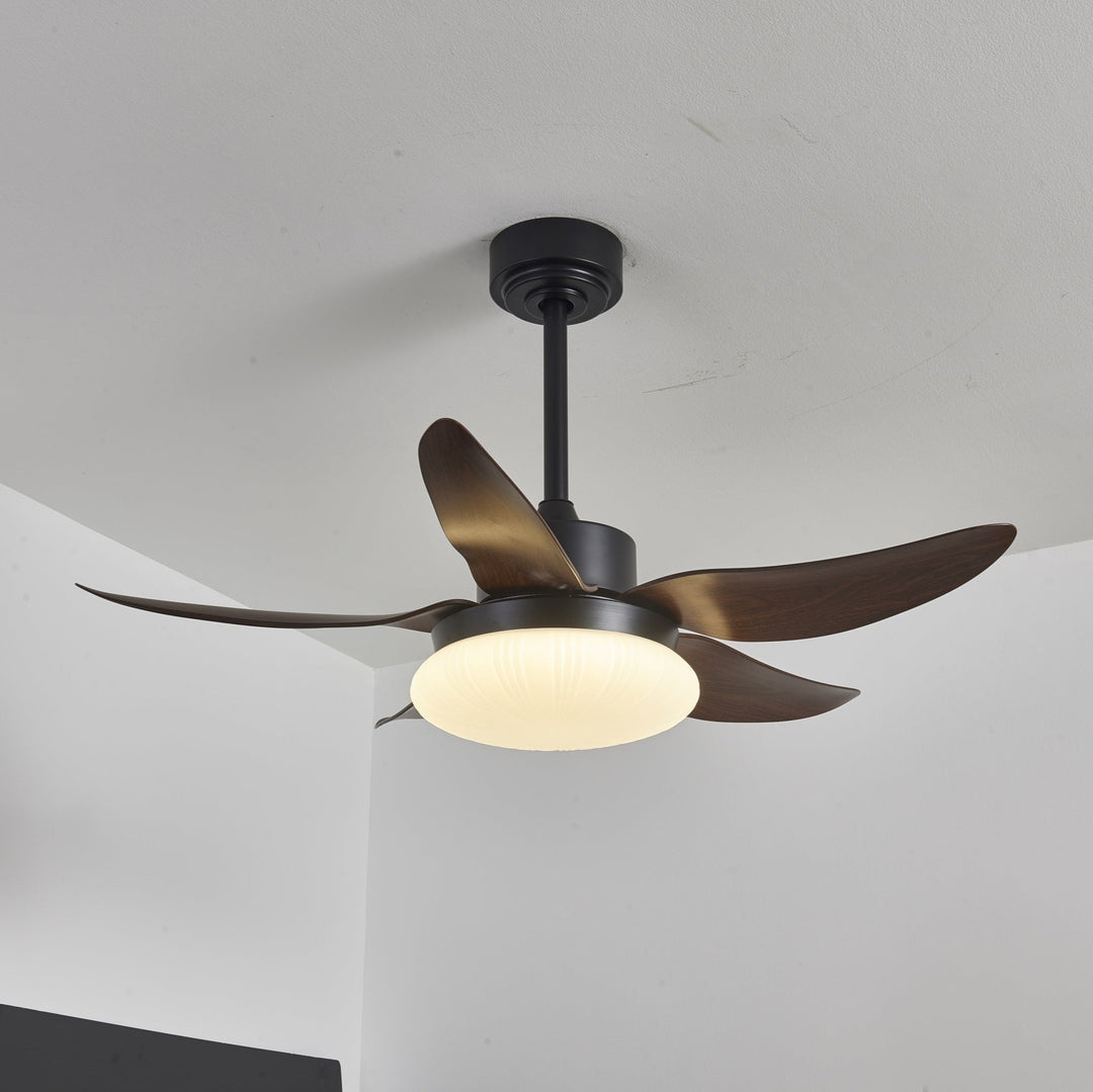 Moasis Ceiling Fan Light – detail 12
