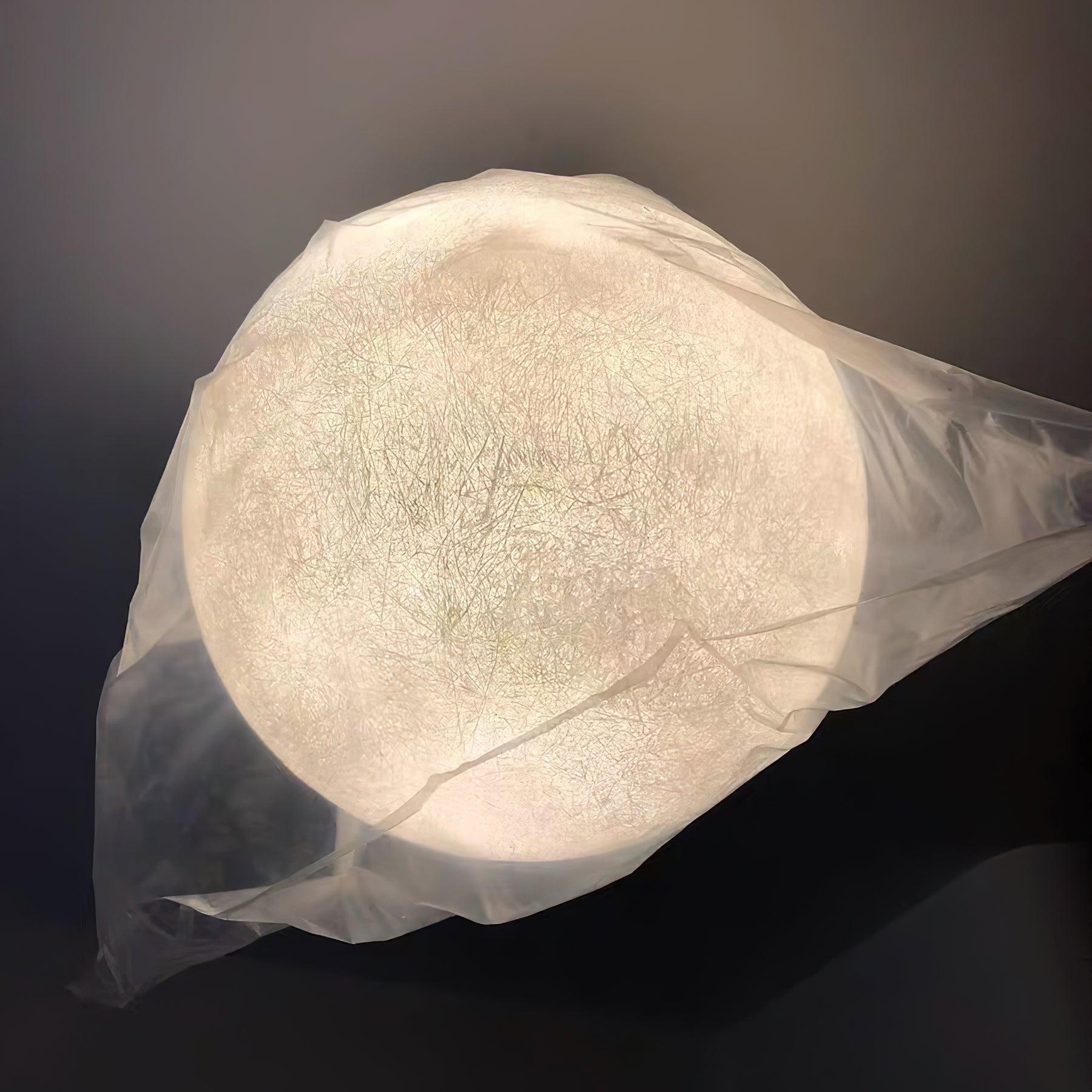 Lampada a sospensione globo Venea