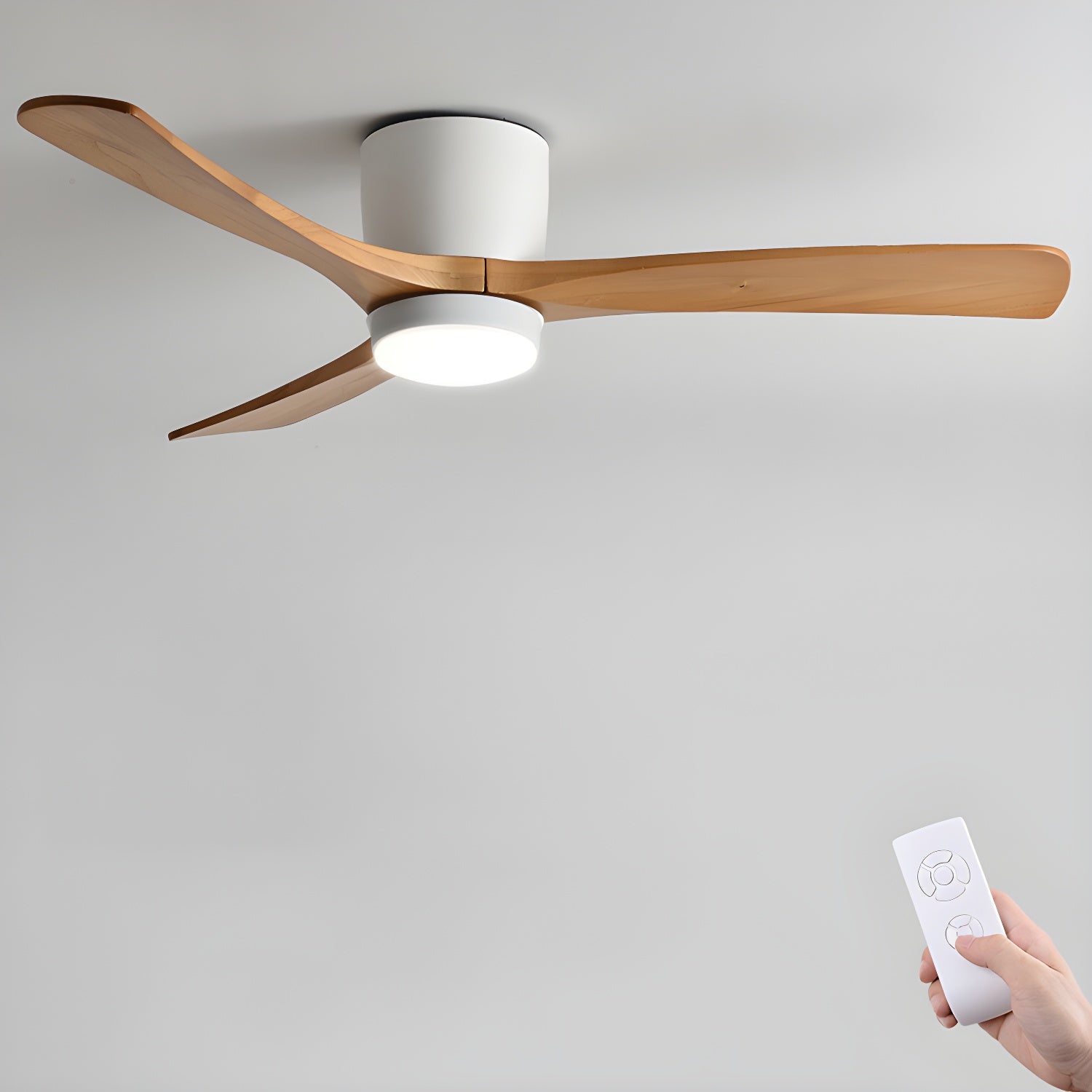 Plafoniera ventilatore Molisa