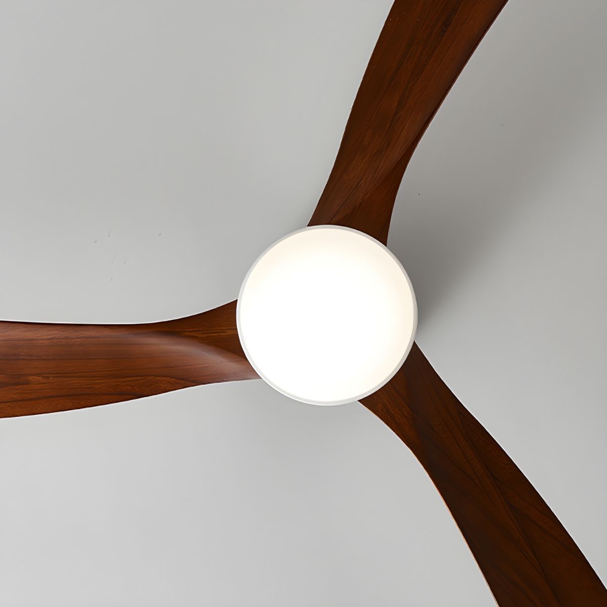 Plafoniera ventilatore Molisa