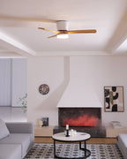 Plafoniera ventilatore Molisa