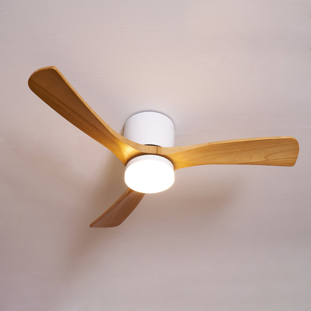 Plafoniera ventilatore Molisa