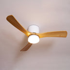 Plafoniera ventilatore Molisa